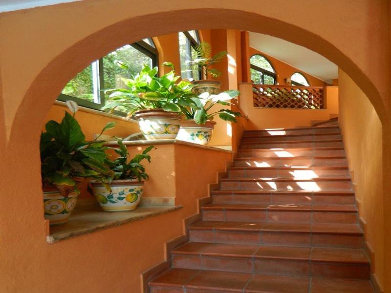 Antelima B&B Taormina Exteriér fotografie